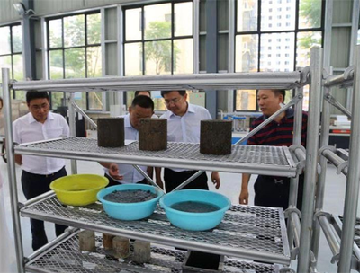 张毅调研建材行业“两新”组织党建工作