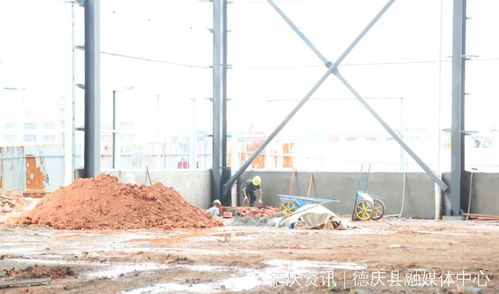 进度条 再刷新 肇庆这些产业项目建设再提速